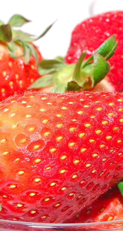strawberry-field-0698
